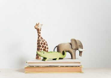 Mi experiencia en mi formación en traumaterapia infantil  con Jorge Barudy, Maryorie Dantagnan y la Red Apega