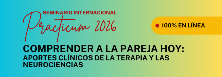 Practicum Seminario Internacional